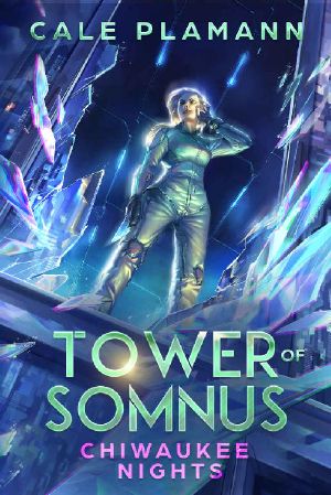 Chiwaukee Nights: A LitRPG Adventure (Tower of Somnus Book 2)