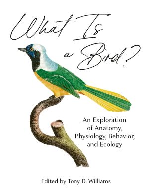 What Is a Bird?