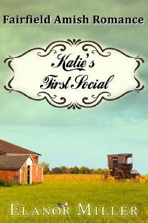 Fairfield Amish Romance