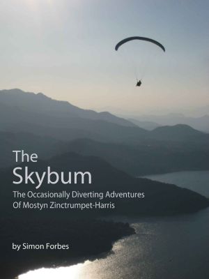 The Skybum