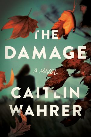 The Damage · A Novel