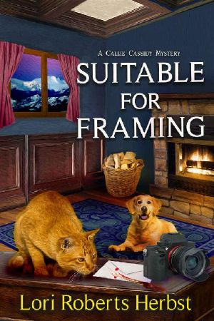 Suitable for Framing (Callie Cassidy Mysteries Book 1)