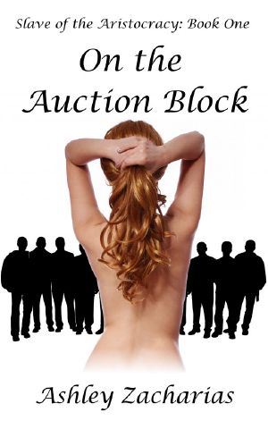 Slave of the Aristocracy · Book One – on the Auction Block