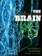 The Brain