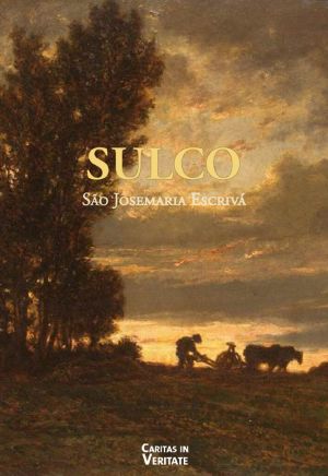 Sulco