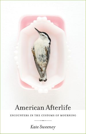 American Afterlife