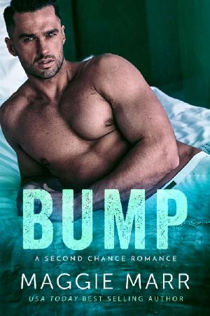 Bump · A Secret Pregnancy Second Chance Alpha Bad-Boy Romance