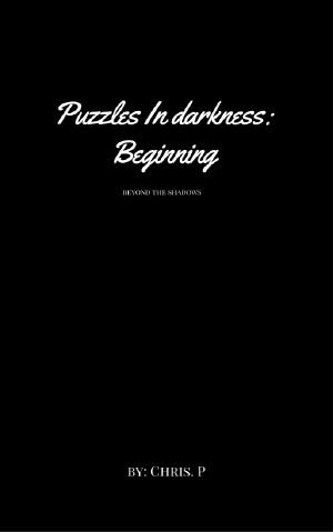 Puzzles In Darkness · Beginning