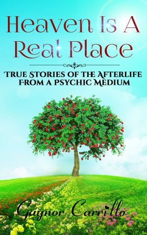 Heaven Is A Real Place: True Stories Of The Afterlife From A Psychic Medium