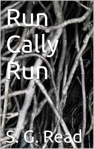 Run Cally Run