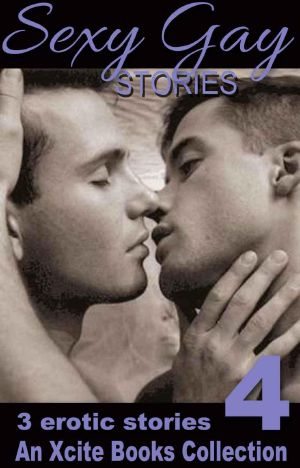 Sexy Gay Stories - Volume Four - three m/m short stories