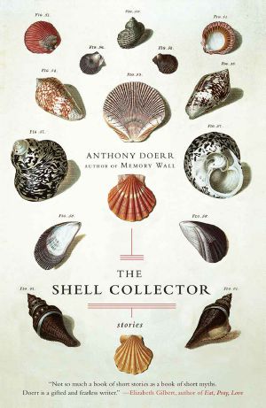 Shell Collector