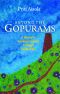 Beyond the Gopurams