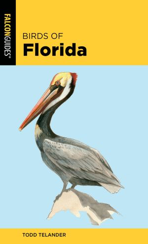 Birds of Florida