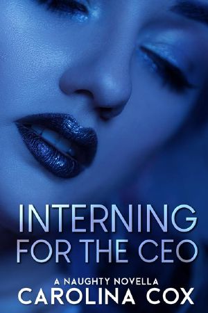 Interning for the CEO