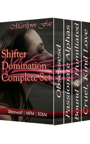 Shifter Domination Complete Set