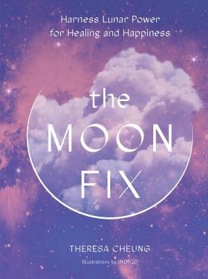 The Moon Fix