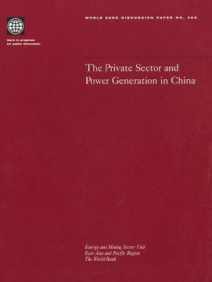 The Private Sector and Power Generation in China