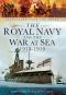 Royal Navy and the War at Sea 1914-1919