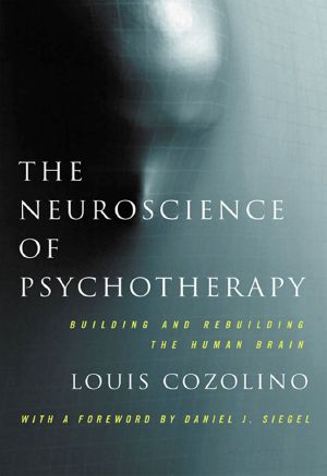 The Neuroscience of Psychotherapy