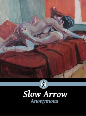 Slow Arrow