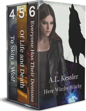 Here Witchy Witchy Box Set 2