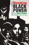 Remaking Black Power · How Black Women Transformed an Era (Justice, Power, and Politics)