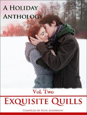 A Holiday Anthology Volume 2 A Collection of Winter Holiday Tales