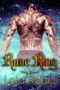 Rune King · Viking Romance