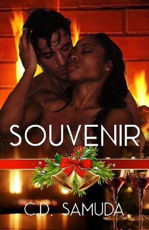 Souvenir · A Christmas Erotic Novella