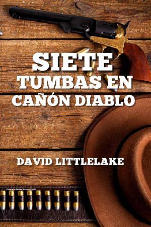 Siete Tumbas en Cañón Diablo (Relato)