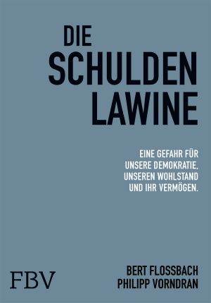 Die Schuldenlawine