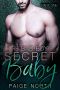 The Bad Boy's Secret Baby (Part One)