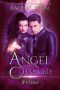 Angel Charmed (Fosswell Chronicles) (Witchblood Book 1)