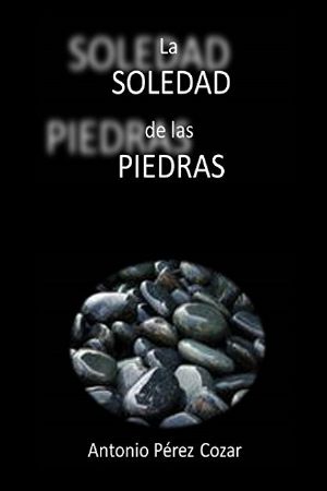 La soledad de las piedras