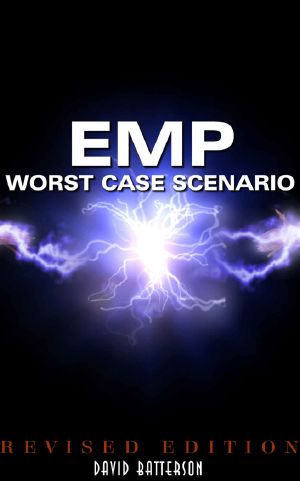 EMP - Worst Case Scenario · Life After an Electromagnetic Pulse