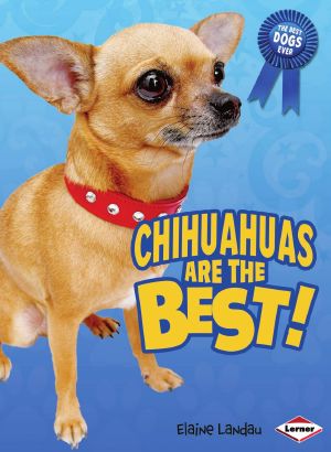 Chihuahuas Are the Best!