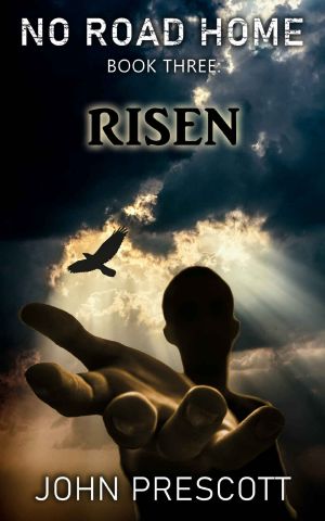 NO ROAD HOME Book Three · Risen