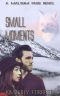 Small Moments · A Malsum Pass Novel