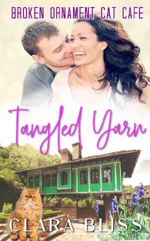 Tangled Yarn: single mom and firefighter clean romance (Broken Ornament Cat Cafe Book 1)