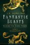 Fantastic Beasts and Where to Find Them · Hogwarts Library Book