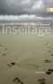 Inseltage