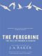 The Peregrine