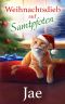 Weihnachtsdieb auf Samtpfoten