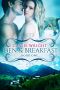 Den and Breakfast · BBW Paranormal Shape Shifter Romance (Honeycomb Falls Book 1)