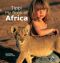 Tippi - My Book of Africa