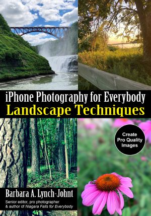 Landscape Techniques