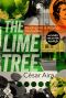 The Lime Tree