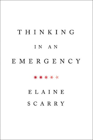 Thinking in an Emergency (9780393081046)