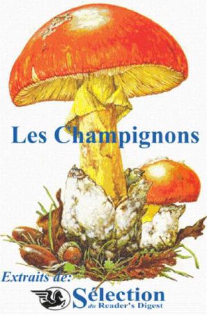 Les Champignons